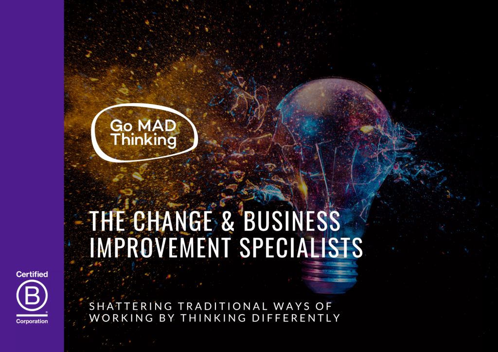 Welcome to Go MAD Thinking The Change and business improvement specialists brochure